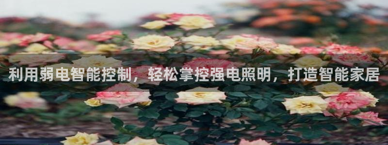 利用弱电智能控制,轻松掌控强电照明,打造