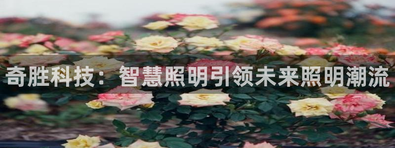 奇胜科技:智慧照明引领未来照明潮流