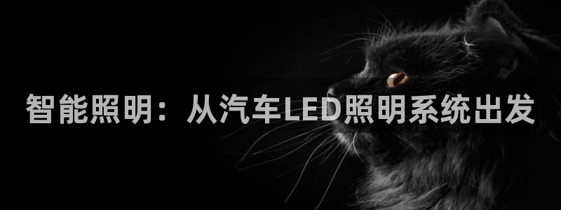 智能照明:从汽车LED照明系统出发